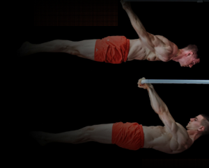 Daniel Vadnal (FitnessFAQs) Lever Pro