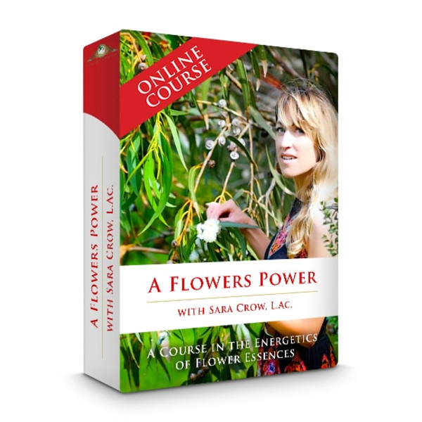 A Flower’s Power A Course In Flower Essences A Flower's Power A Course In Flower Essences