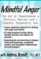 Andrea Brandt Mindful Anger The Art of Transforming a Difficult Emotion into a Powerful Therapeutic Tool