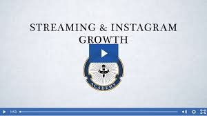 Ari Herstand and Lucidious Streaming & Instagram Growth