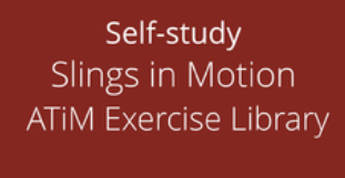 Art Of Motion Slings in Motion ATiM Exercise Library Art Of Motion Slings in Motion ATiM Exercise Library