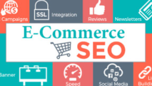 Arun SEO 2017 E-Commerce SEO for WordPress and Shopify Website