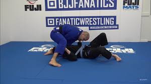 Bernardo Faria Transition Mastery