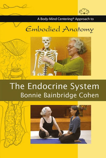 Bonnie Bainbridge Cohen Embodied Anatomy and the Endocrine System Bonnie Bainbridge Cohen Embodied Anatomy and the Endocrine System