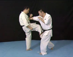 Born to be Strongest Kyokushin Karate Instructional 4 DVD Set