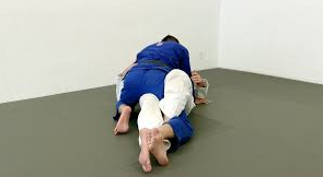 Brent Littell BJJ MMA 10th Planet The Lockdown System DVD