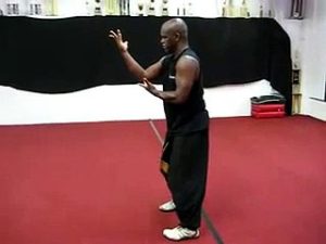 Bruce Kumar Frantzis Hsing-i Chuan Vo. 3 Wood Fist