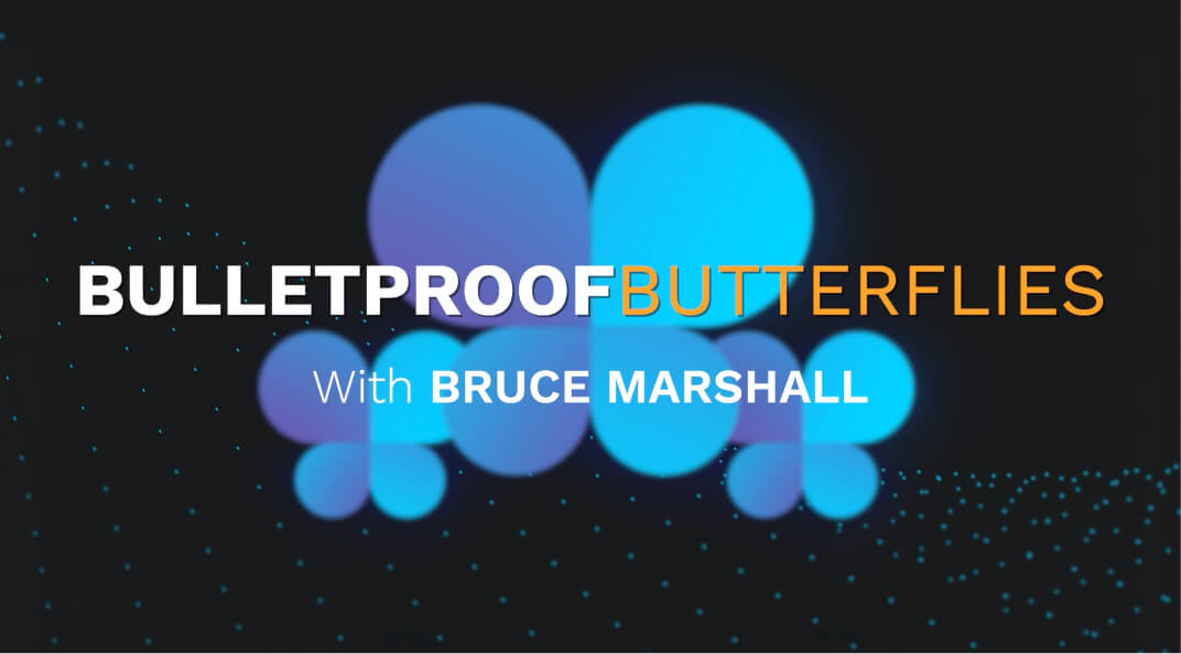 Bruce Marshall Bulletproof Butterflies Strategy Bruce Marshall Bulletproof Butterflies Strategy