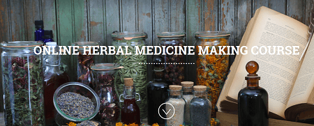 Chestnut Herbs Online Herbal Medicine Making Course Chestnut Herbs Online Herbal Medicine Making Course