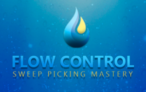Claus Levin – THE ECONOMY PICKING EXPERIENCE