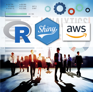 DS4B 202A-R Shiny Developer with AWS
