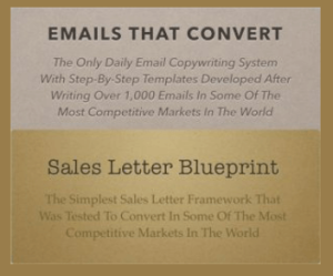 Danavir Sarria The Email Copywriting Workshop