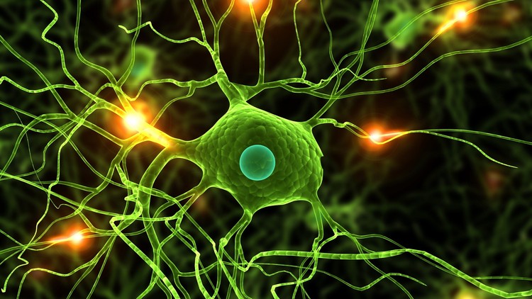 Data-Science-Deep-Learning-in-Python-1