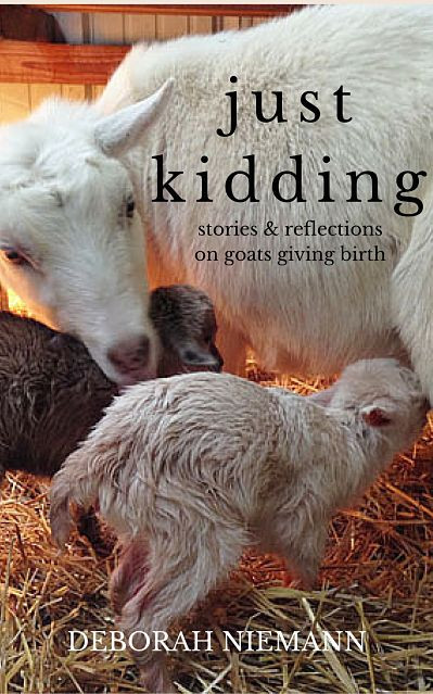 Deborah Niemann Just Kidding and Raising Kids Deborah Niemann Just Kidding and Raising Kids