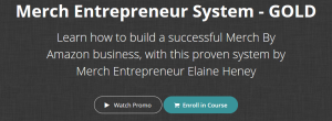 Elaine Heney Merch Entrepreneur System GOLD