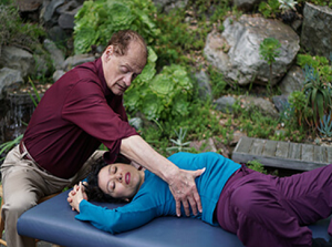 Frank Wildman Your Brain As The Core Of Strength And Stability