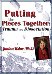 Janina Fisher Putting the Pieces Together Trauma and Dissociation