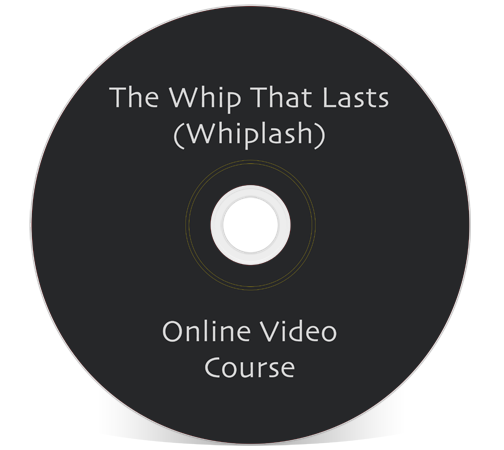 John Iams PRRT Mini Course The Whip That Lasts John Iams PRRT Mini Course The Whip That Lasts