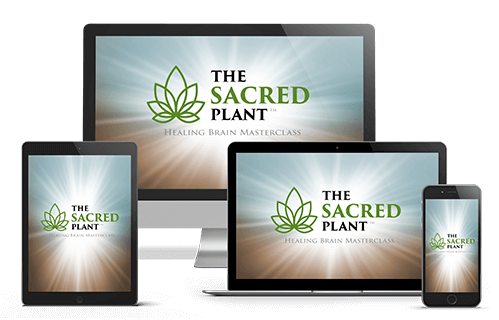 John Malanca The Sacred Plant Healing Brain Masterclass John Malanca The Sacred Plant Healing Brain Masterclass
