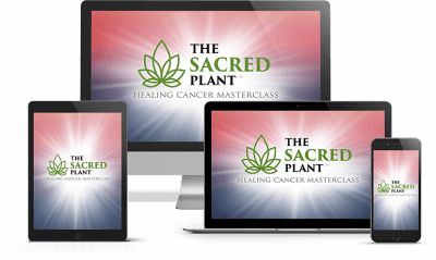 John Malanca The Sacred Plant Healing Cancer Masterclass John Malanca The Sacred Plant Healing Cancer Masterclass