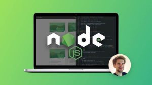 Jonas Schmedtmann Node.js