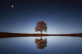 Kenji Kumara Clear and perfect channel Divine freedom