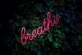 Kimberly Wilson Breathe