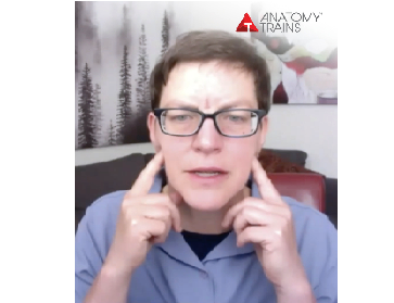 Kirstin Schumaker Reclaiming Your Livelihood Neurovascular Release for the Jaw and Head Kirstin Schumaker Reclaiming Your Livelihood Neurovascular Release for the Jaw and Head