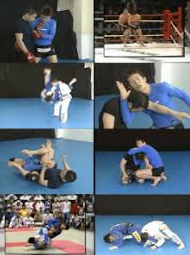 Kit Dale The Art of Learning Jiu Jitsu Vol. 1 & 2