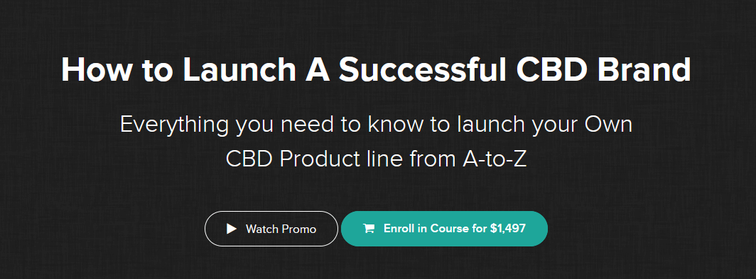 Launch-a-Successful-CBD-Business11