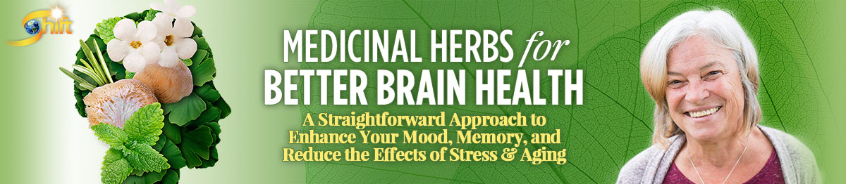Mary Bov Medicinal Herbs for Better Brain Health Mary Bov Medicinal Herbs for Better Brain Health