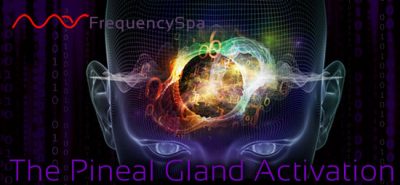 Mas Sajady Pineal Gland Activation