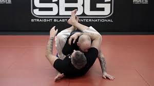 Matt Thornton The Closed Guard Compendium