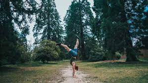 Matthew Smith The Flexibility Toolkit