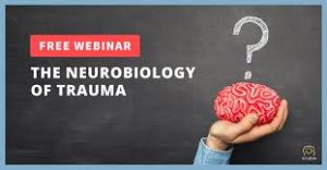 NICABM The Neurobiology of Trauma