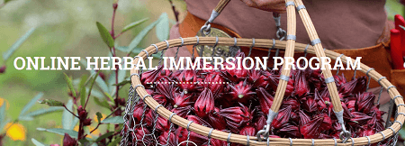 Online-Herbal-Immersion-Program