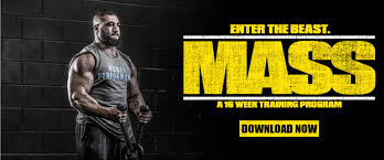 Pat-Davidson-Enter-The-Beast-Mass-11