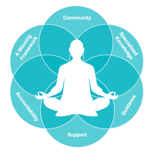 Pedram Shojai The Urban Monk Mastermind