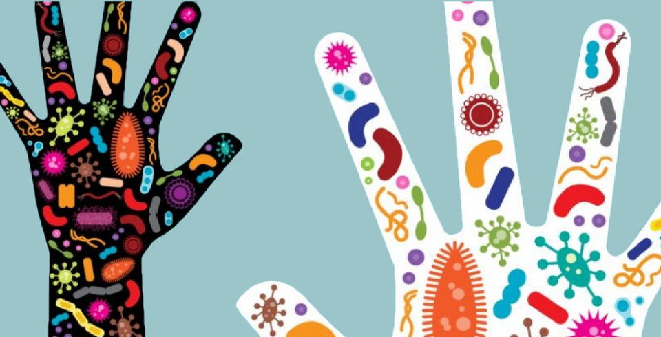 Probiotic Advisor Meet your Microbiome 4-Week Course Probiotic Advisor Meet your Microbiome 4-Week Course