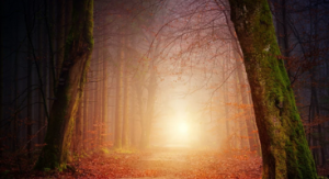 Prune Harris The Healing Power of Ceremony