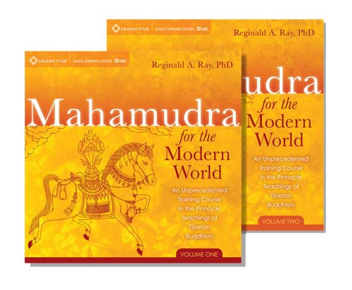 Reginald-Ray-Mahamudra-for-the-Modern-World