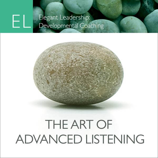 Rob-McNamara-The-Art-of-Advanced-Listening