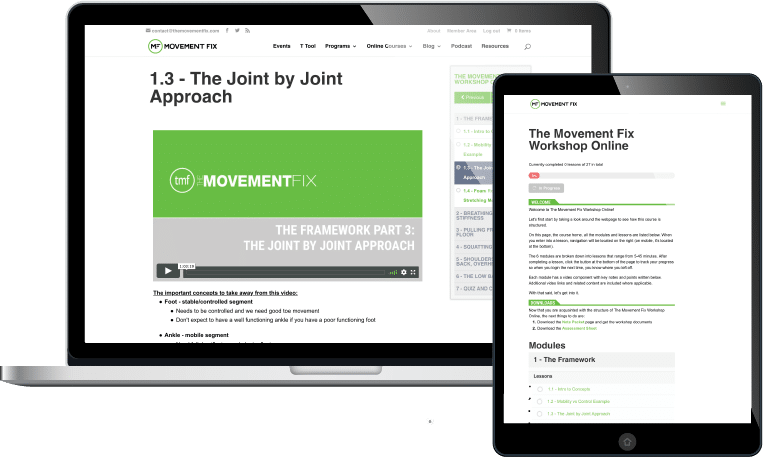 Ryan DeBell The Movement Fix Workshop Online Ryan DeBell The Movement Fix Workshop Online