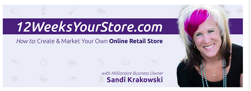 Sandi-Krakowski-–-12-Weeks-Your-Store-Video-Class