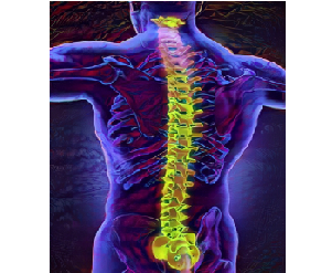 Sapien Medicine PROJECT KUNDALINI VIBRATION