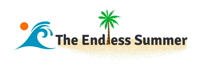 Sharad-Thaper-The-Endless-Summer-Google-Shopping-Course-1