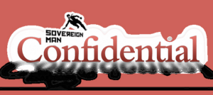 Simon Black Sovereign Man Confidential 2020