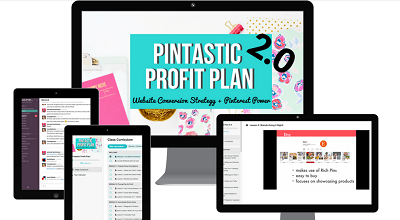 Summer-Tannhauser-Pintastic-Profit-Plan-2.0