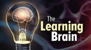 TTC The Learning Brain