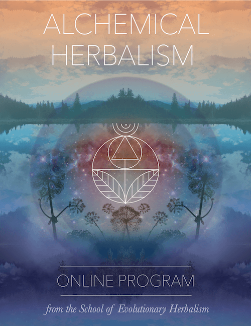 The School of Evolutionary Herbalism Alchemical Herbalism The School of Evolutionary Herbalism Alchemical Herbalism